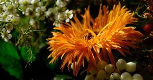 bouquet-de-fleurs-fleurs-300x157 Idées de bouquets de fleurs pour la fête des mères